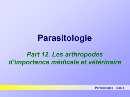 Parasitologie Part 12. Les arthropodes d’importance médicale et vétérinaire – Bac 3