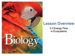 Lesson Overview 3.3 Energy Flow in Ecosystems Energy Flow in Ecosystems
