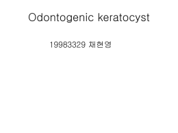 Odontogenic keratocyst 19983329 채현영