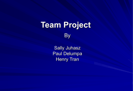 Team Project By Sally Juhasz Paul Delumpa