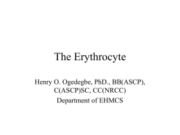 The Erythrocyte Henry O. Ogedegbe, PhD., BB(ASCP), C(ASCP)SC, CC(NRCC) Department of EHMCS