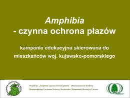 Amphibia czynna ochrona płazów - kampania edukacyjna skierowana do