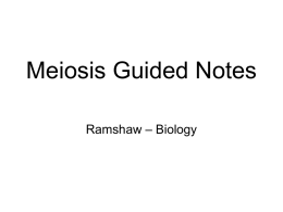 Meiosis Guided Notes – Biology Ramshaw