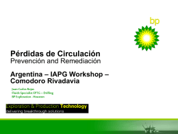 Pérdidas de Circulación Prevención and Remediación – IAPG Workshop – Argentina