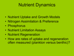 Nutrient Dynamics