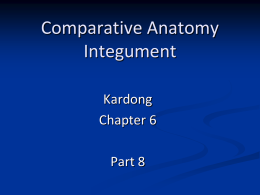 Comparative Anatomy Integument Kardong Chapter 6