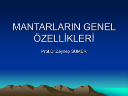 MANTARLARIN GENEL ÖZELLİKLERİ Prof.Dr.Zeynep SÜMER