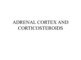 ADRENAL CORTEX AND CORTICOSTEROIDS