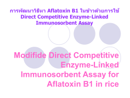 Modifide Direct Competitive Enzyme-Linked Immunosorbent Assay for Aflatoxin B1 in rice