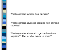 What separates humans from animals? What separates advanced societies from primitive societies?