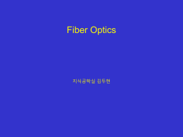 Fiber Optics 지식공학실 김두현