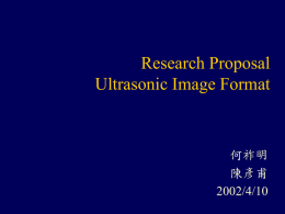 Research Proposal Ultrasonic Image Format 何祚明 陳彥甫