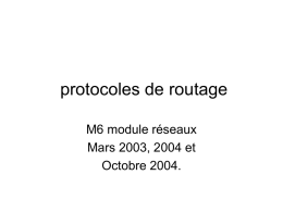 protocoles de routage M6 module réseaux Mars 2003, 2004 et Octobre 2004.