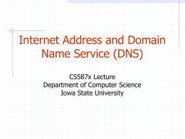 Internet Address and Domain Name Service (DNS) CS587x Lecture Department of Computer Science