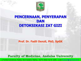 PENCERNAAN, PENYERAPAN DAN DETOKSIKASI ZAT GIZI Prof. Dr. Fadil Oenzil, PhD, SpGK