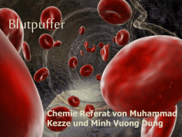 Blutpuffer Chemie Referat von Muhammad Kezze und Minh Vuong Dung