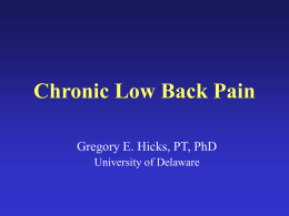 Chronic Low Back Pain Gregory E. Hicks, PT, PhD University of Delaware