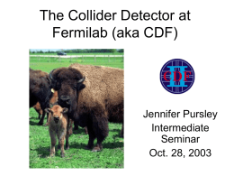 The Collider Detector at Fermilab (aka CDF) Jennifer Pursley Intermediate