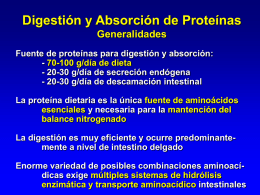 Digestión y Absorción de Proteínas Generalidades