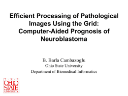 Efficient Processing of Pathological Images Using the Grid: Computer-Aided Prognosis of Neuroblastoma