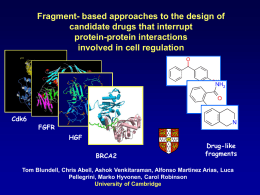 Fragment- based approaches to the design of candidate drugs that interrupt