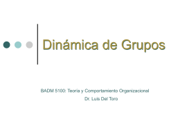 Dinámica de Grupos BADM 5100: Teoría y Comportamiento Organizacional
