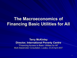 The Macroeconomics of Financing Basic Utilities for All Terry McKinley