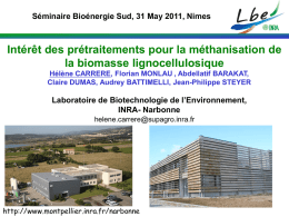 Intérêt des prétraitements pour la méthanisation de la biomasse lignocellulosique