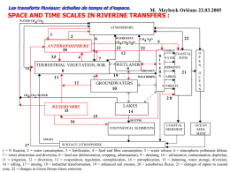 SPACE AND TIME SCALES IN RIVERINE TRANSFERS : ANTHROPOSPHERE