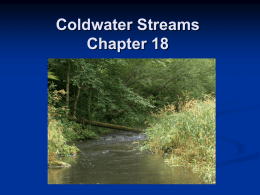Coldwater Streams Chapter 18