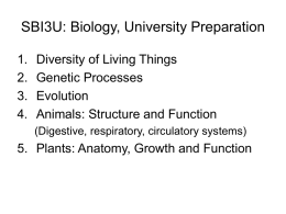 SBI3U: Biology, University Preparation