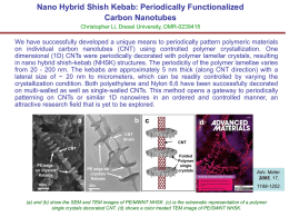 Nano Hybrid Shish Kebab: Periodically Functionalized Carbon Nanotubes