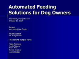 Automated Feeding Solutions for Dog Owners