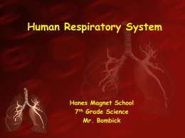 Human Respiratory System Hanes Magnet School 7 Grade Science