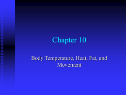 Chapter 10 Body Temperature, Heat, Fat, and Movement