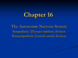 Chapter 16 The Autonomic Nervous System Sympathetic (Thoraco-lumbar) division Parasympathetic (Cranial-sacral) division