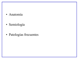 • Anatomía • Semiología • Patologías frecuentes