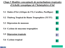 Chap.5 Modèles conceptuels de perturbations tropicales d’échelle synoptique de l’hémisphère d’été