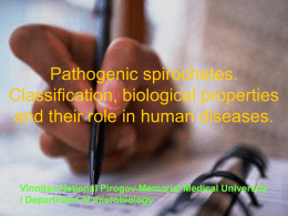 Pathogenic spirochetes. Classification, biological properties and their role in human diseases.