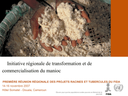 Initiative régionale de transformation et de commercialisation du manioc ﻿ InI