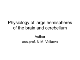 Physiology of large hemispheres of the brain and cerebellum Author ass.prof. N.M. Volkova