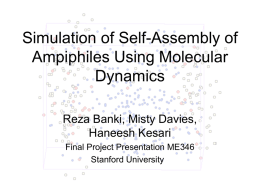 Simulation of Self-Assembly of Ampiphiles Using Molecular Dynamics Reza Banki, Misty Davies,