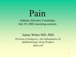 Pain James Witter MD, PhD Arthritis Advisory Committee July 29, 2002 (morning session)