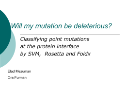 Will my mutation be deleterious? Classifying point mutations at the protein interface