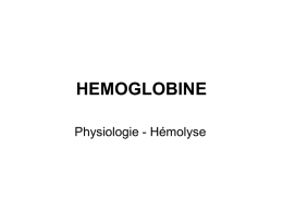 HEMOGLOBINE Physiologie - Hémolyse