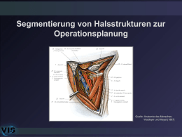 Segmentierung von Halsstrukturen zur Operationsplanung Quelle: Anatomie des Menschen, Waldeyer und Mayet [1987]