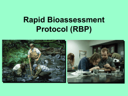 Rapid Bioassessment Protocol (RBP)