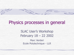 Physics processes in general SLAC User’s Workshop February 18 – 22 2002