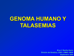 GENOMA HUMANO Y TALASEMIAS M en C Bertha Ibarra