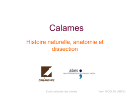 Calames Histoire naturelle, anatomie et dissection Ecole nationale des chartes